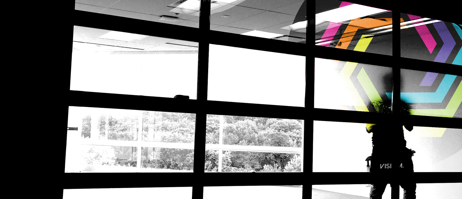 Visium Dealer Network